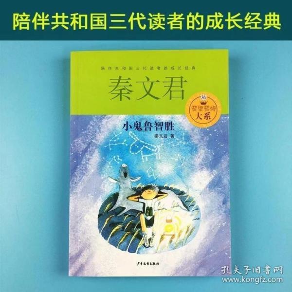 植物大战僵尸13