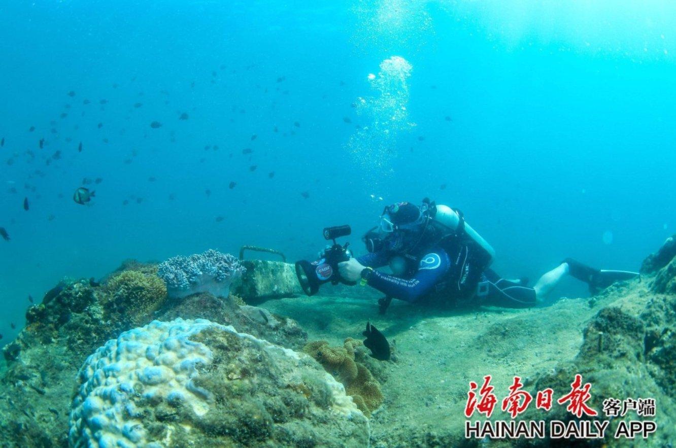 青海12366热线即时办结率高